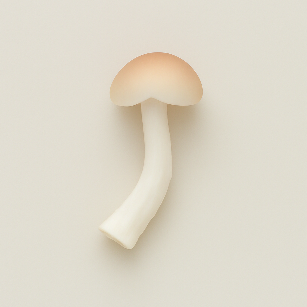 Mushroom Cotton Candy Floss Sugar