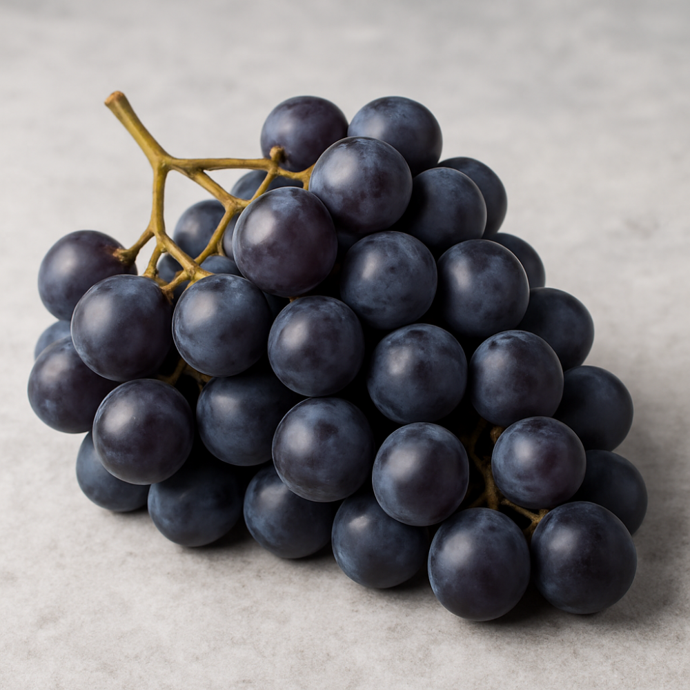 Concord Grape Juice Concentrate