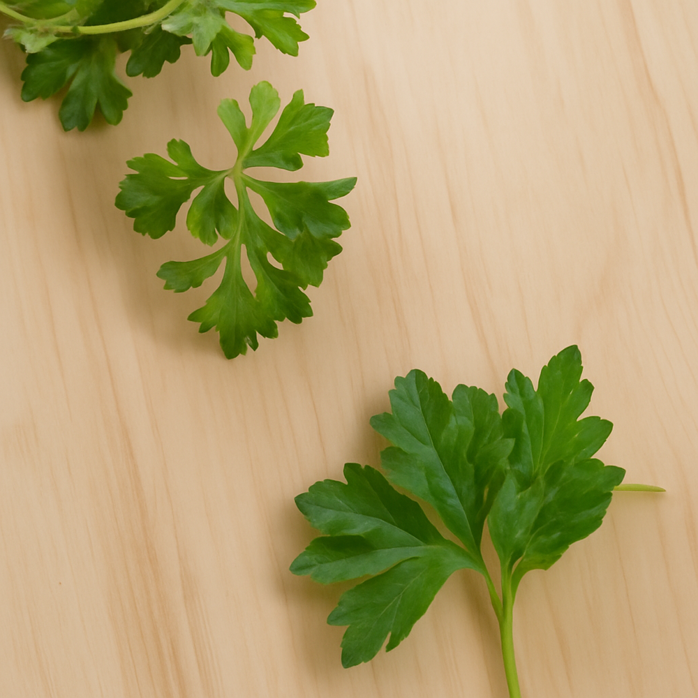 Parsley Cotton Candy Floss Sugar