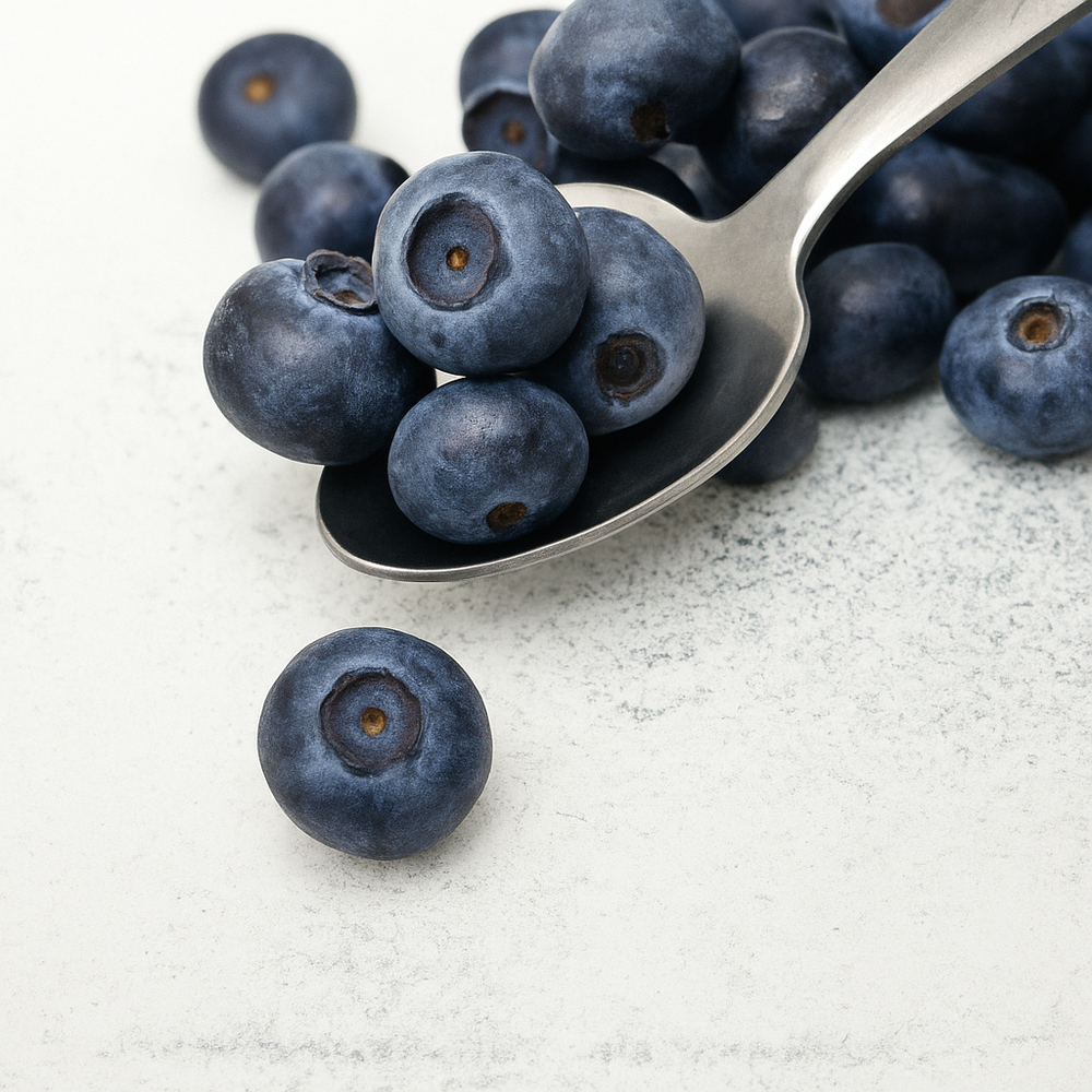 Drum Dried Blueberry Powder