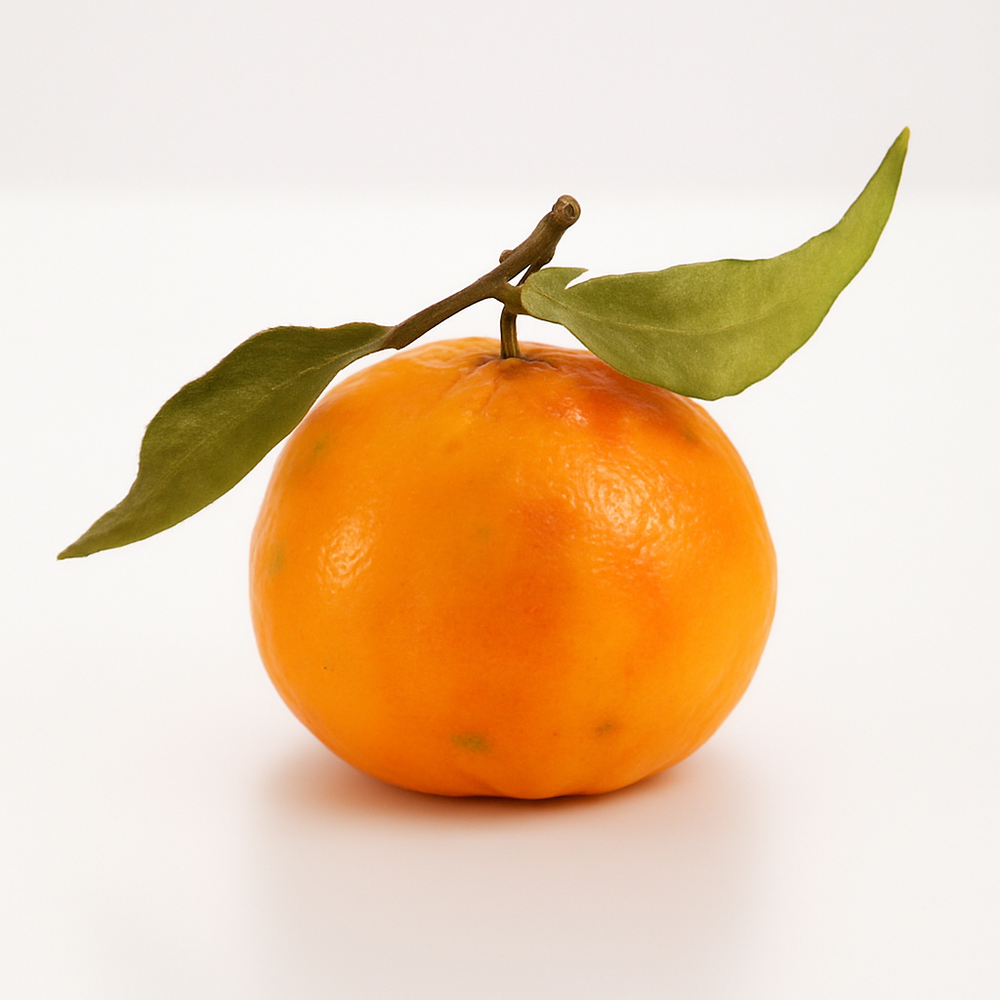 Mandarin Orange Cotton Candy Floss Sugar