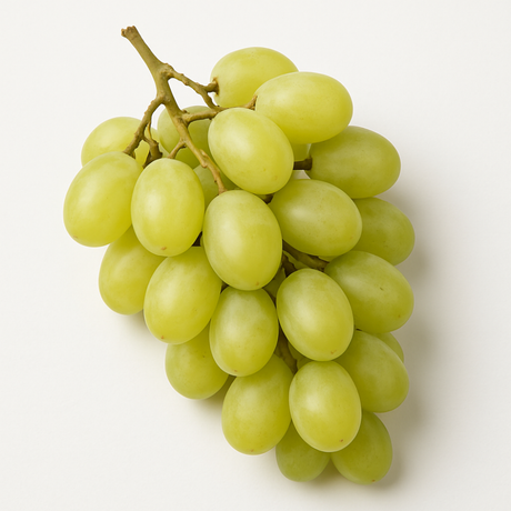 Organic White Grape Juice Concentrate