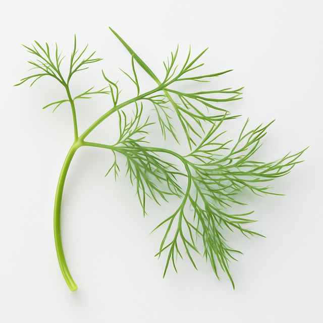 Dill Cotton Candy Floss Sugar