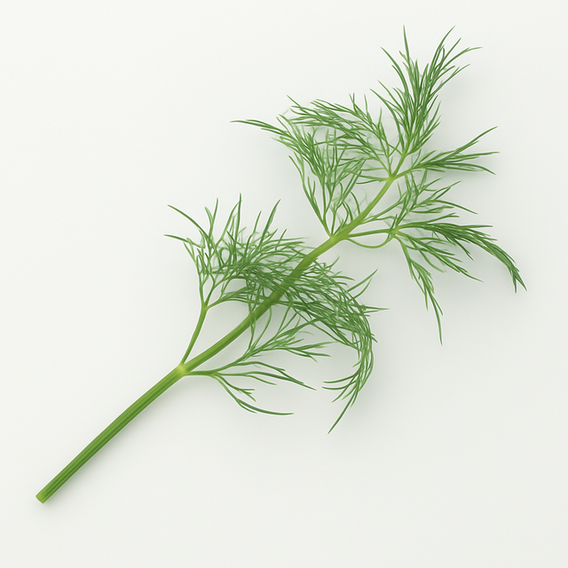 Organic Dill Cotton Candy Floss Sugar