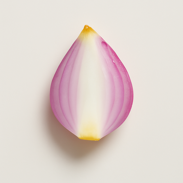 Onion Cotton Candy Floss Sugar