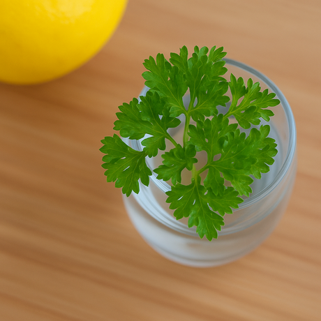 Organic Parsley Cotton Candy Floss Sugar