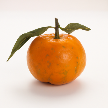 Organic Tangerine Cotton Candy Floss Sugar