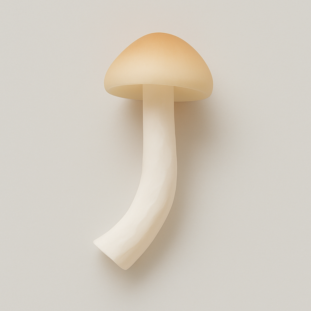 Mushroom Cotton Candy Floss Sugar, Organic