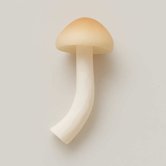 Mushroom Cotton Candy Floss Sugar, Organic