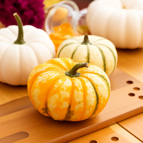 Drum Dried Pumpkin Flakes