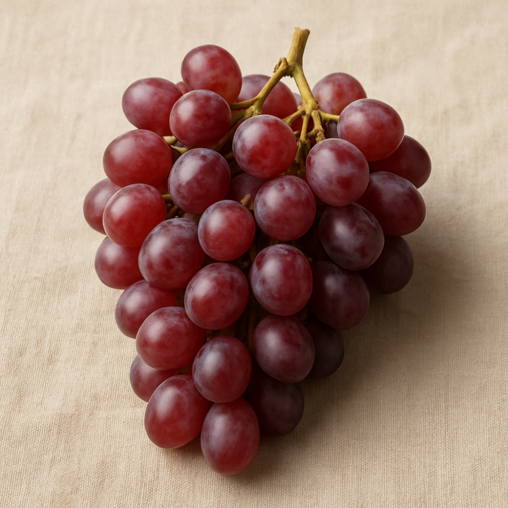 Organic Red Grape Juice Concentrate